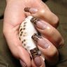 Маникюр с рисунком морская раковина на ногтях